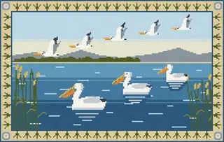 Pelicans rug
