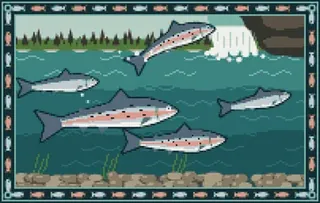 Salmon rug